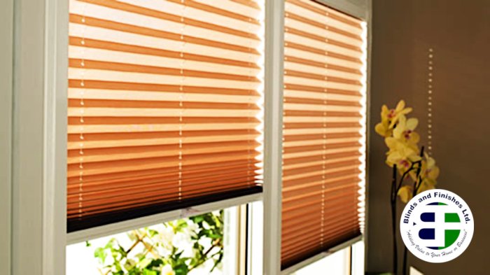 Pleated blinds limit sky